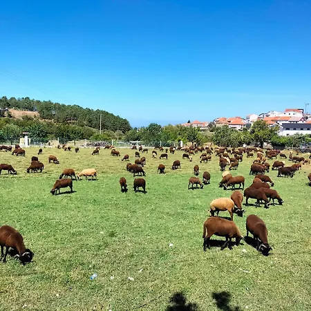Tatil Evi Casa Aguarela, Estilo Familiar Na Serra Da Estrela *