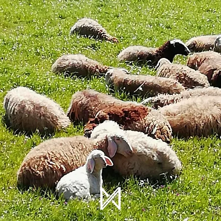 Дом отдыха Casa Aguarela