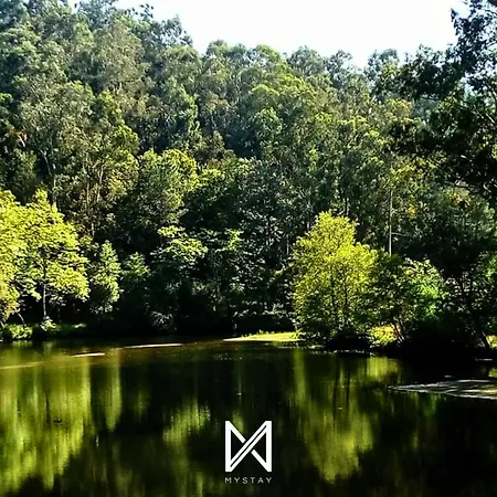 Mystay - Casa Aguarela