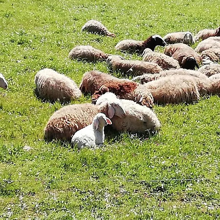 Nyaraló Casa Aguarela