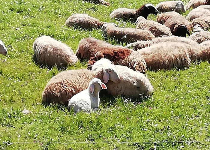 Casa de Férias Casa Aguarela